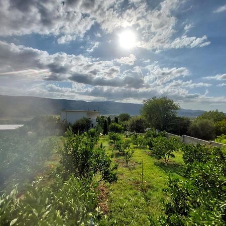 Guest House Xhaferaj Berat Dış mekan fotoğraf