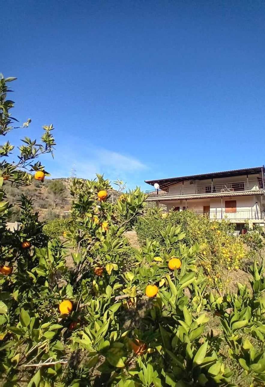 Guest House Xhaferaj Berat Dış mekan fotoğraf