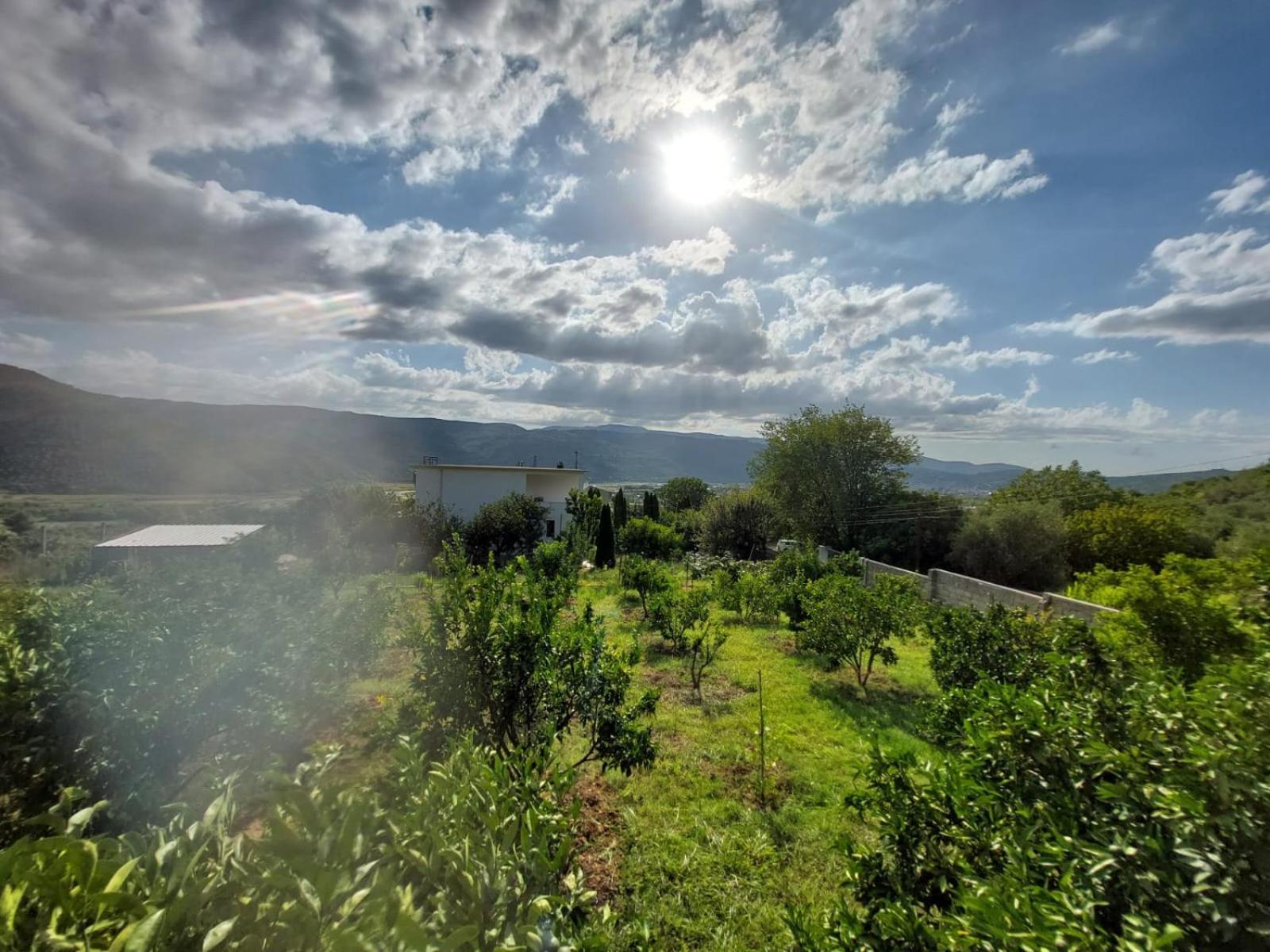 Guest House Xhaferaj Berat Dış mekan fotoğraf